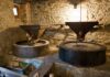 Casentino: domenica 17 maggio la Giornata Internazionale dei Musei