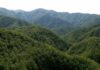 Bibbiena, Il documentario “Il Sentiero delle Foreste Sacre” al Cinema