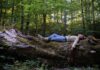 Il Parco delle Foreste Casentinesi racconta la natura in musica